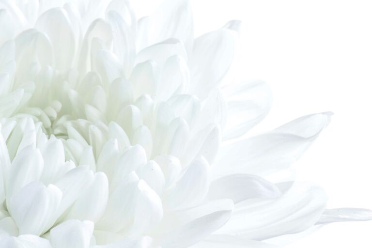 Colour White: Spiritual Meaning, Psychology, and Symbolism