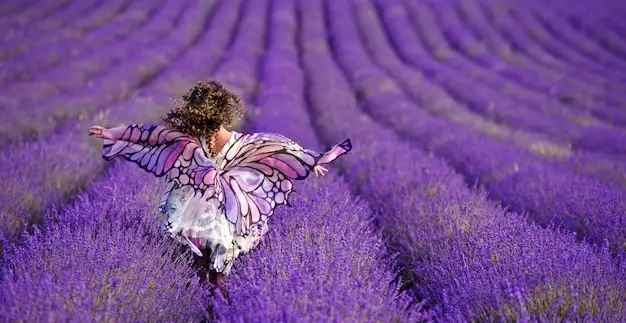 Purple Butterfly in dreams Spiritual Meaning