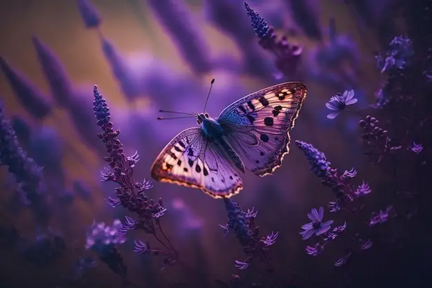 Purple Butterfly Spiritual Meaning