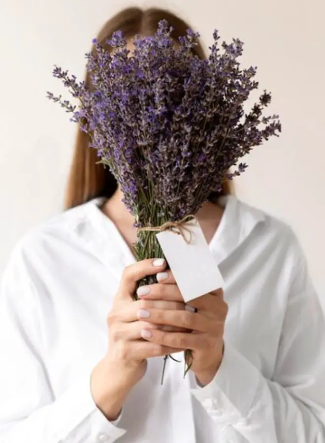 Lavender in Hindu Traditions: A Fragrant Offering to the Divine