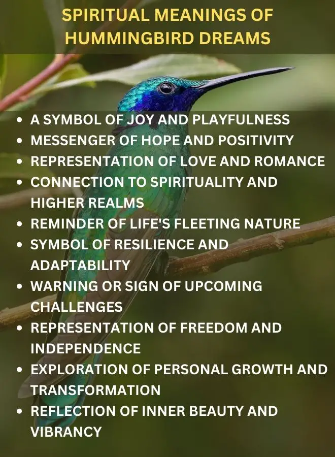 Spiritual Meanings of Hummingbird Dreams
