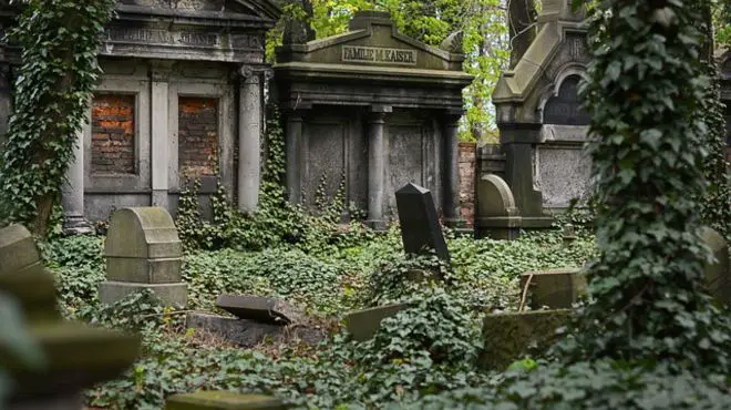 Dream Of Cemetery In Backyard