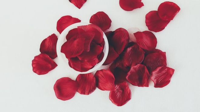 Spiritual Meaning of Rose Petals