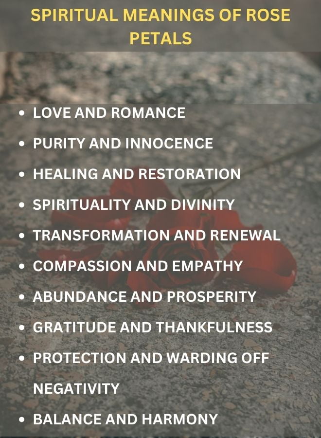 Spiritual Meaning of Rose Petals Spirituality Vision