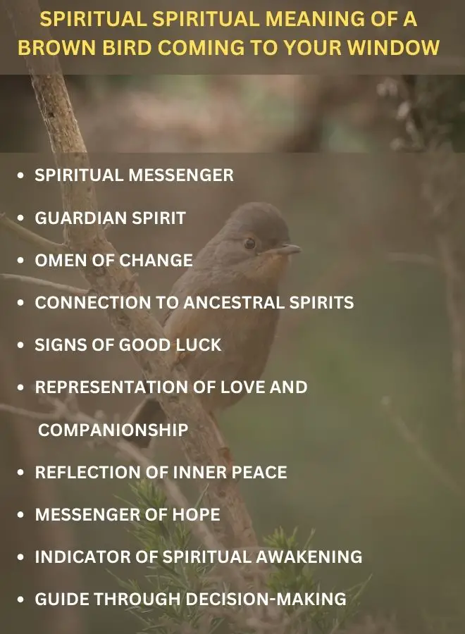 Spiritual spiritual meaning of a brown bird coming to your window