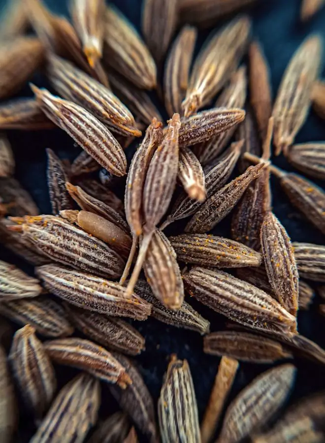 Biblical and Hinduism Meanings of Cumin