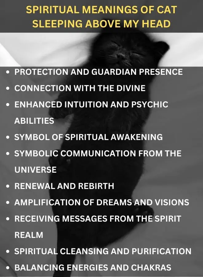 Spiritual Meanings of Cat Sleeping Above My Head
