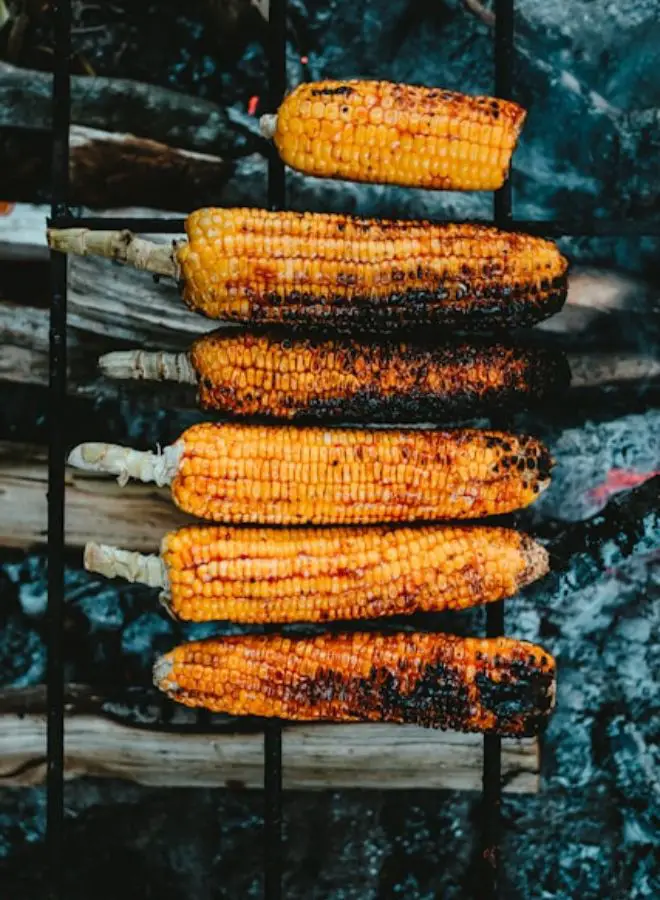 Biblical and Hindu Meanings of Grilled Corn