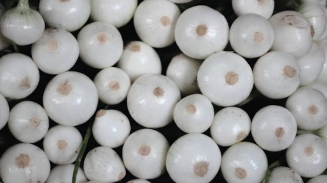 Spiritual Meaning of White Onion