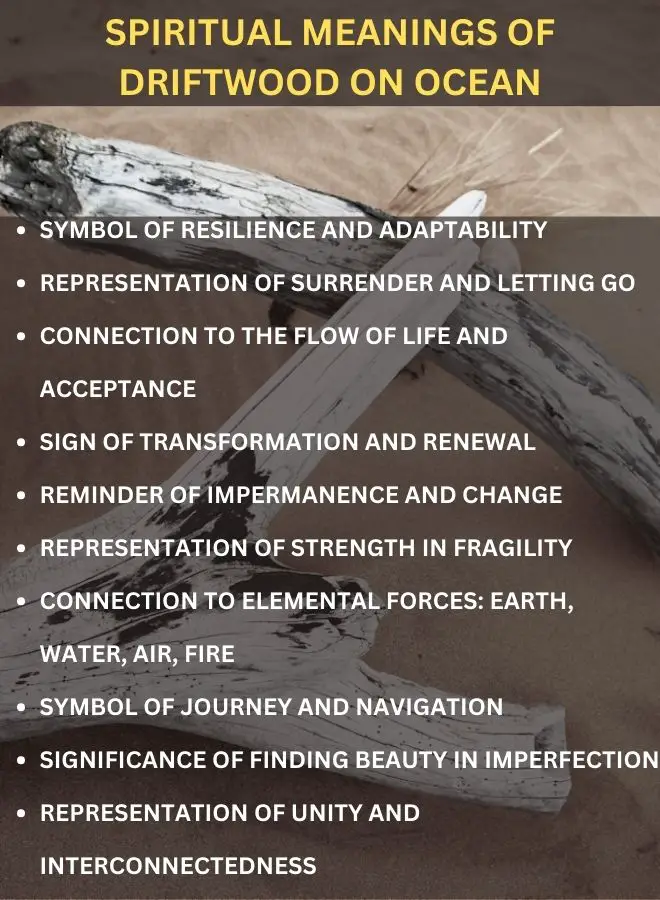 Spiritual Meanings of Driftwood on Ocean