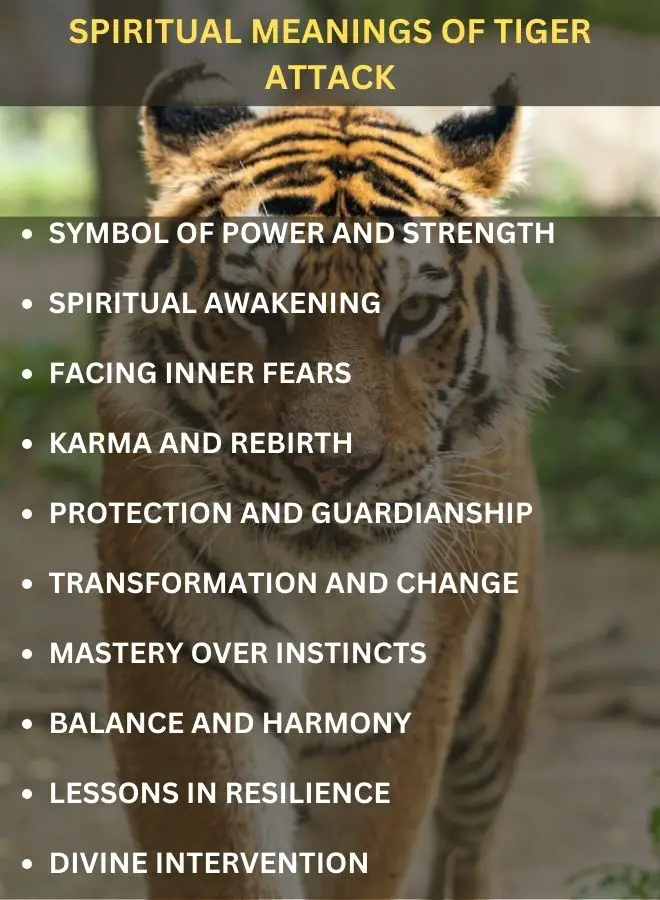 Spiritual Meanings of Tiger Attack