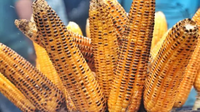 What does grilled corn represent spiritually?