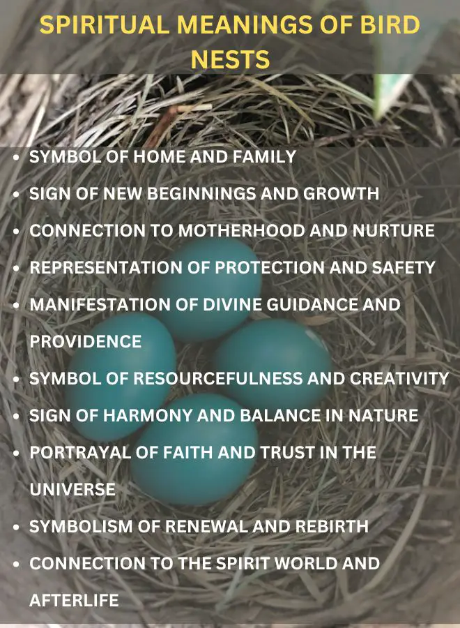 Spiritual Meanings of Bird Nests