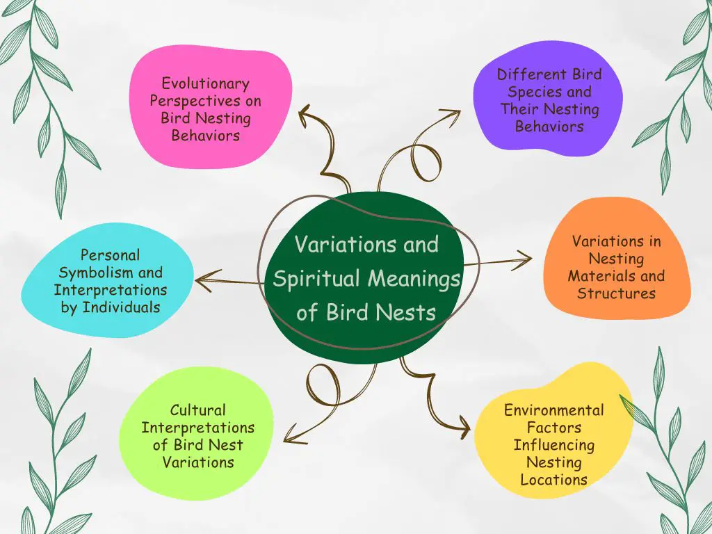 Variations and Spiritual Meanings of Bird Nests
