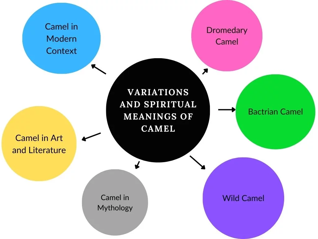 Variations and Spiritual Meanings of Camel