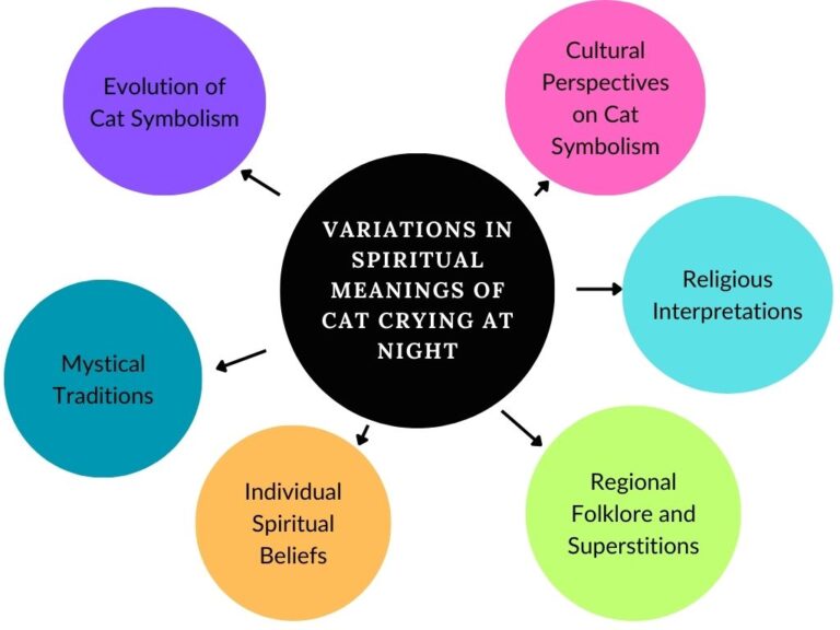 what-does-it-mean-spiritually-when-a-cat-cries-at-night-explained